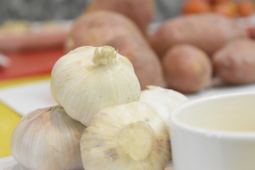 organic  vegetable  garlic