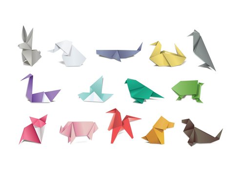 origami  paper  folding