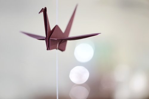 origami  crane  fold