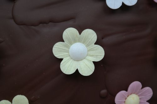 ornament floral chocolate cake