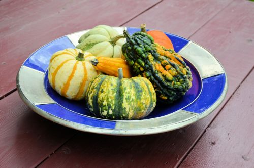 Ornamental Fruit