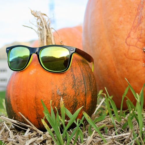 ornamental pumpkins glasses autumn