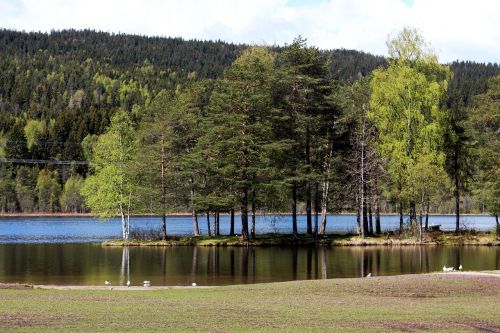 oslo sognsvann nordmarka