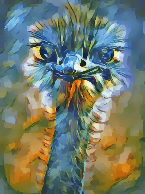 ostrich painting animal
