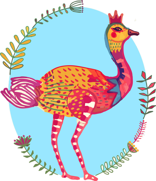 ostrich  bird  colourful