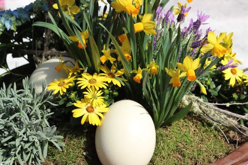ostrich egg cream colors spring