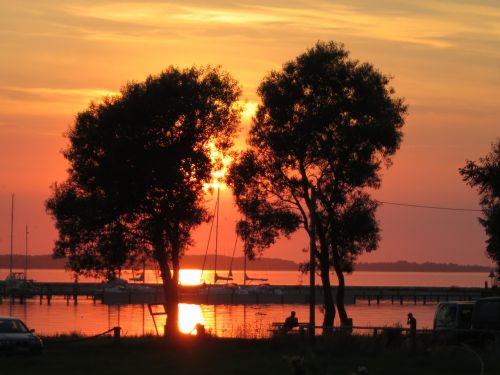 ostseee sunset trees