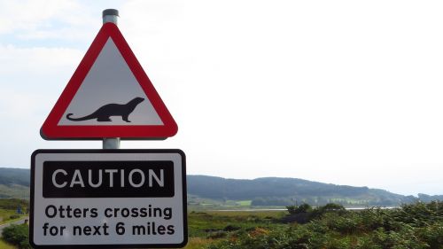 otter road sign warning