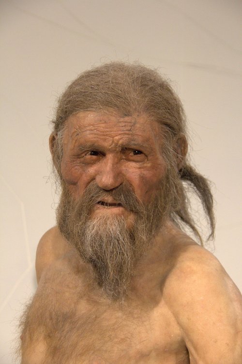 ötzi  museum  bozen