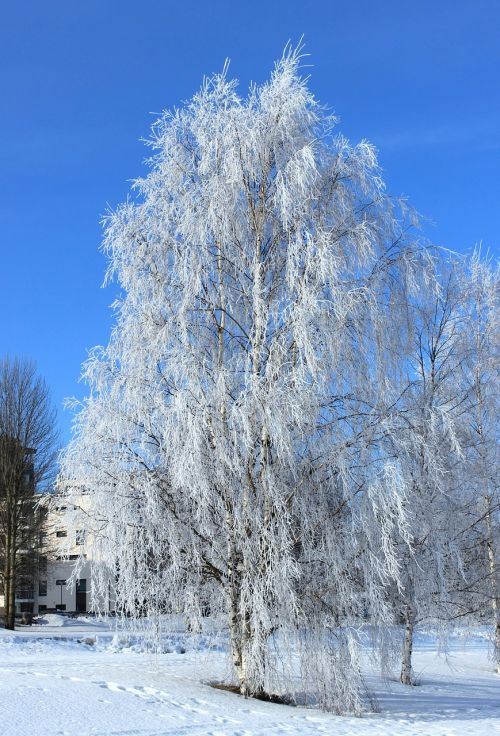 oulu finland winter