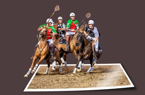 image editing sport equestrian