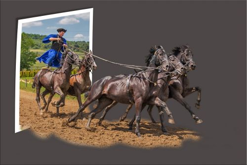 out of bounds image editing horses