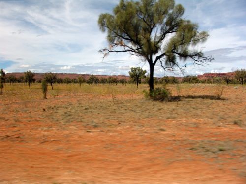 outback bush steppe