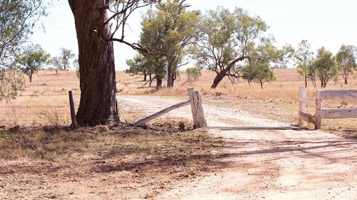 outback  gate  countryside