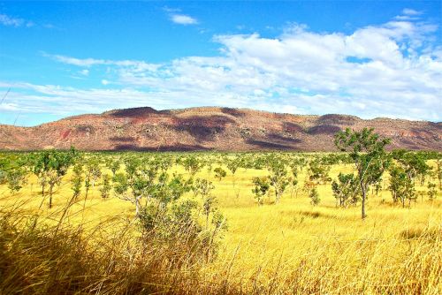 outback australia rural