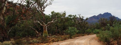 outback australia flinders ranges remote