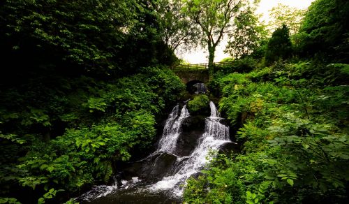 outdoor scenery serenity