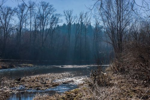 outdoor trees river