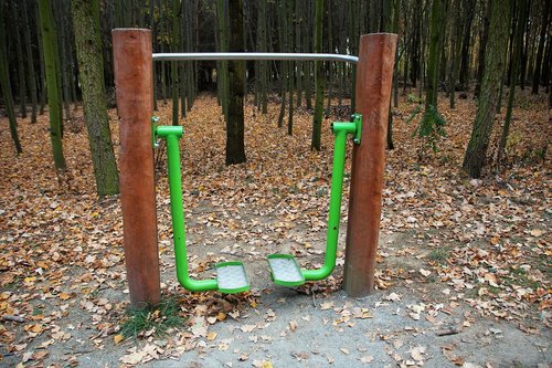 outdoor  fitness  gym
