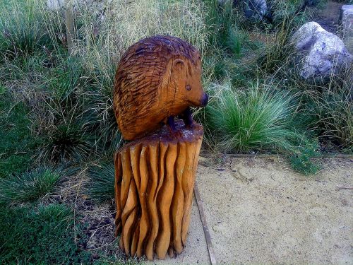 outdoors craft wooden hedgehog
