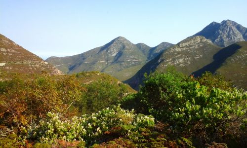 Outeniqua Mountains