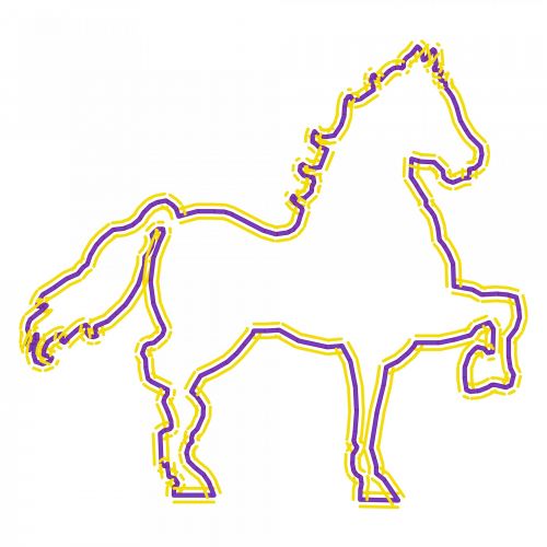 Outlined Horse