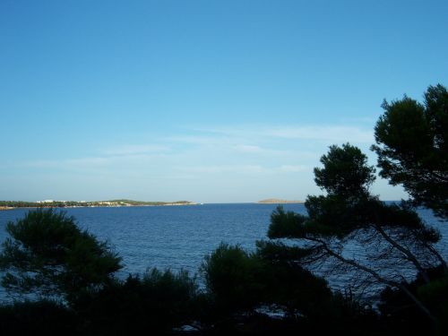 outlook sea trees