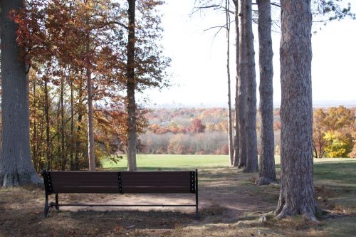 outside nature bench
