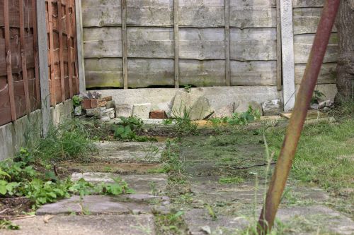 Over Grown Garden Path