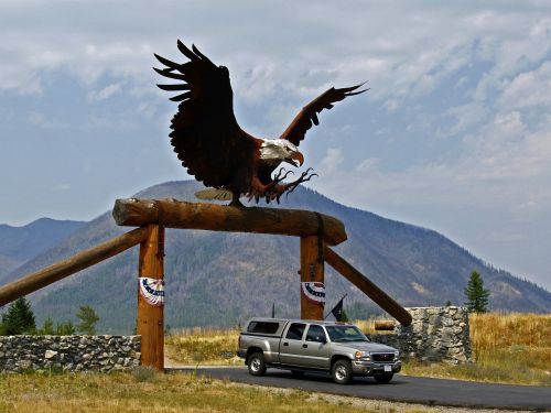 overdimensional gate metal bald eagle