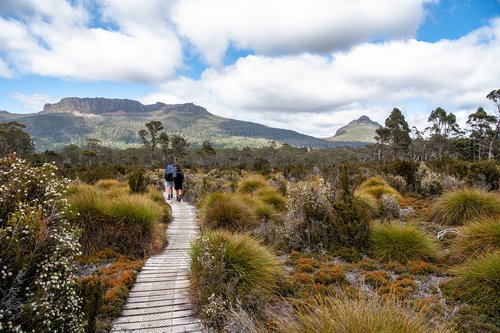 overland track  tasmania  nature