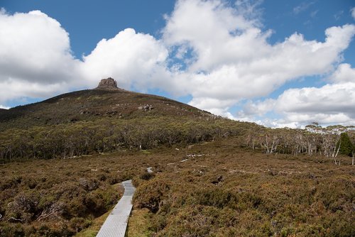 overland track  tasmania  nature