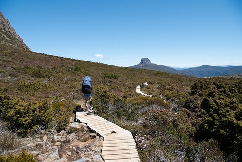 overland track  tasmania  wilderness