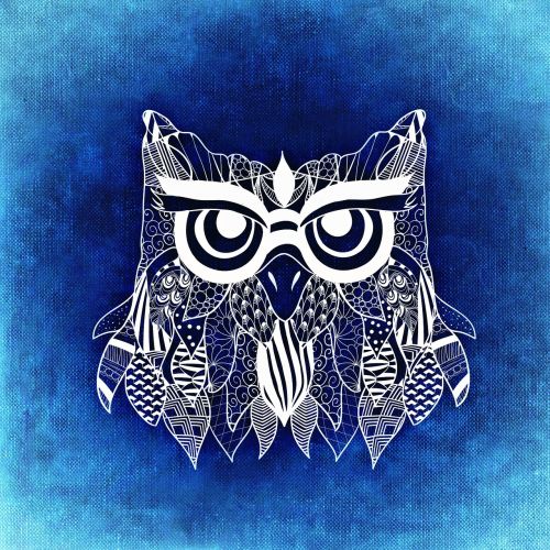 owl bird abstract