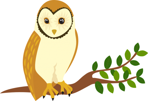 owl forest animal