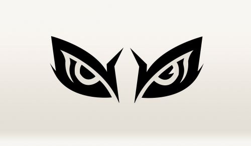 owl eye animal