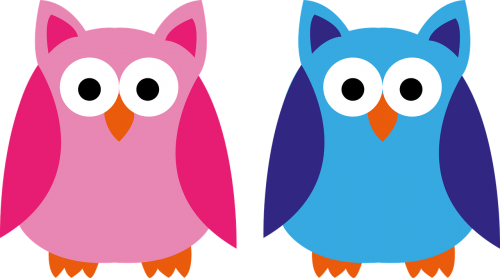 owl blue pink