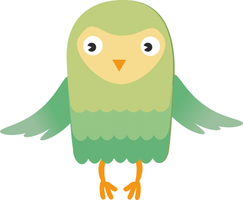 owl bird green