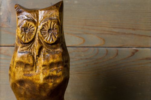 owl eyes wood
