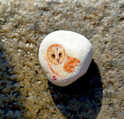 owl bird stone