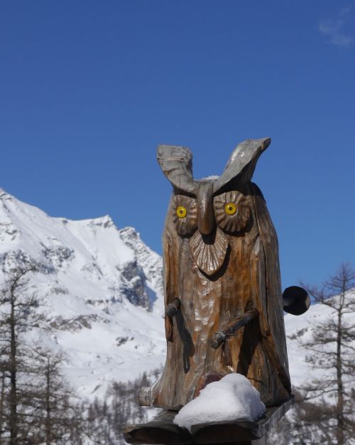 owl snow italy