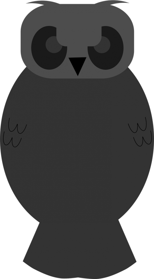 owl night silhouette