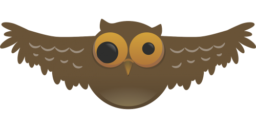 owl weird bird