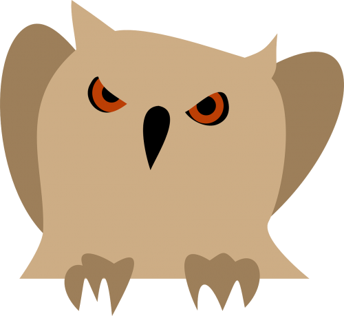 owl animal bird
