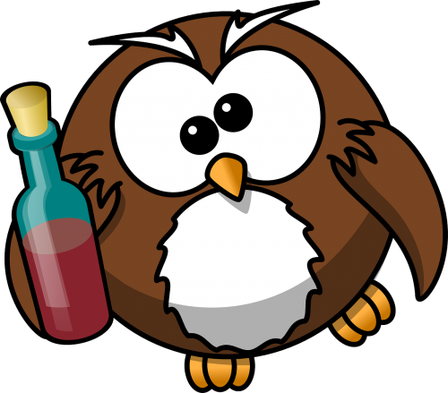 owl drunk alcohol