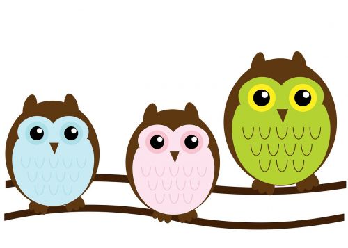 owl owls family