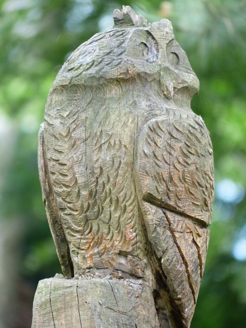 owl wood carving