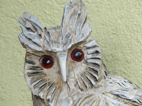 owl figure face