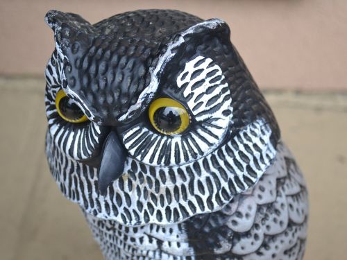 owl fake statue