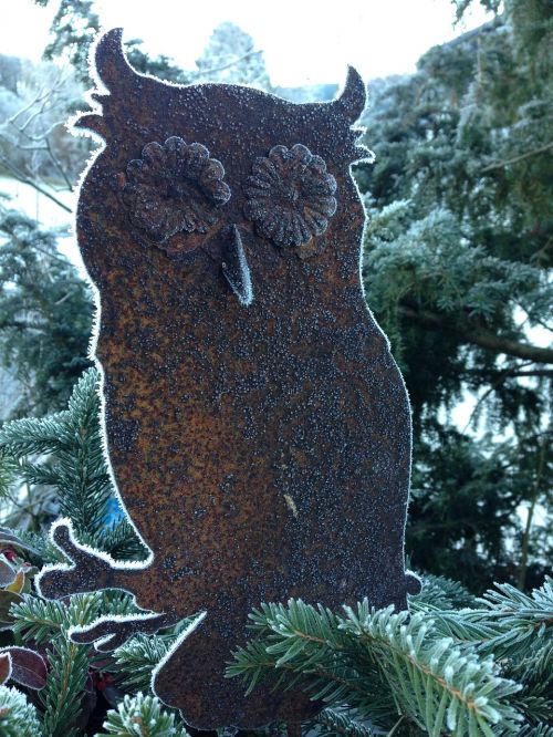 owl stainless frozen